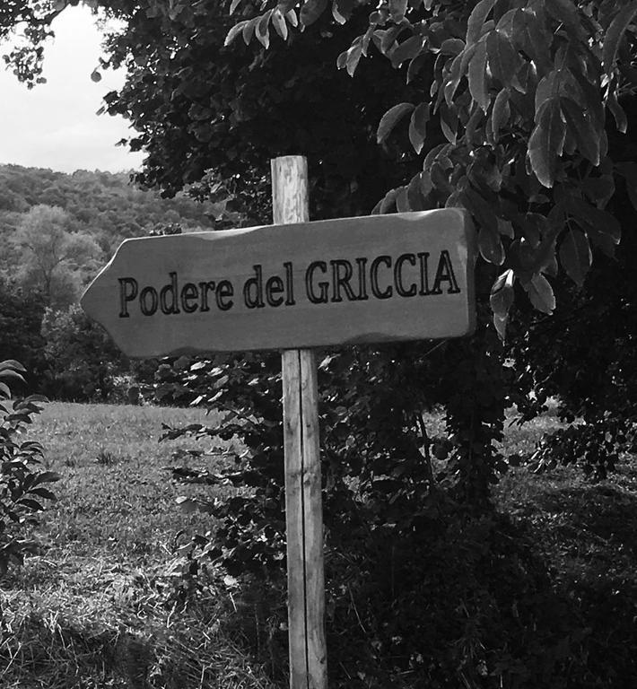 Podere Del Griccia Civitella in Val di Chiana Dış mekan fotoğraf